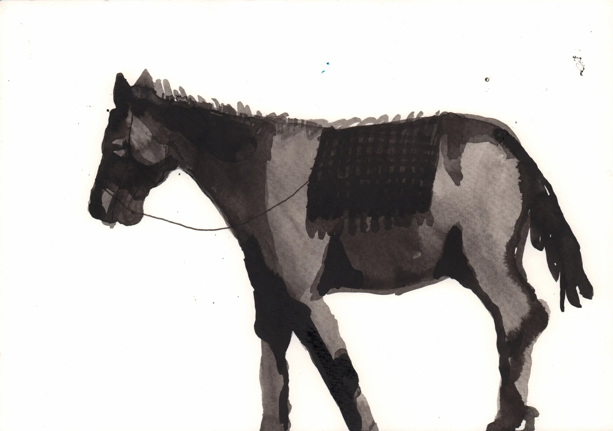 año del caballo 1