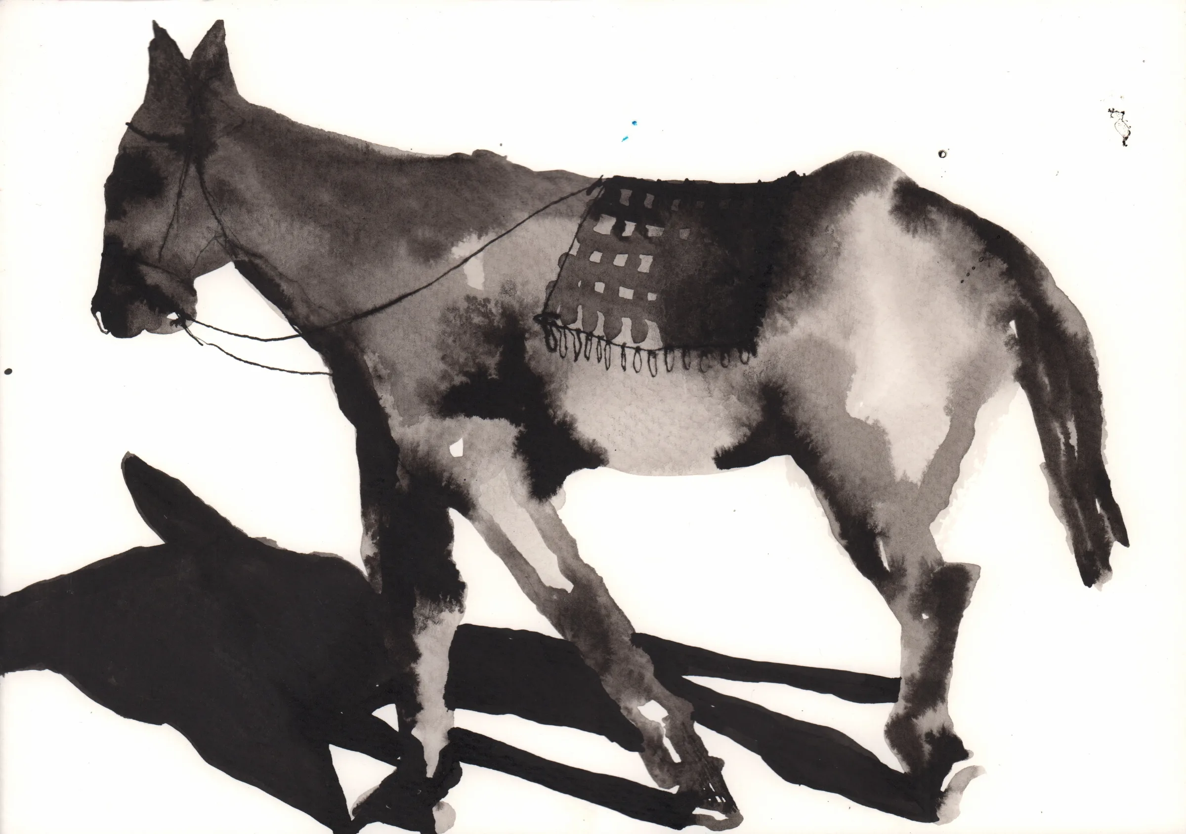 año del caballo 2