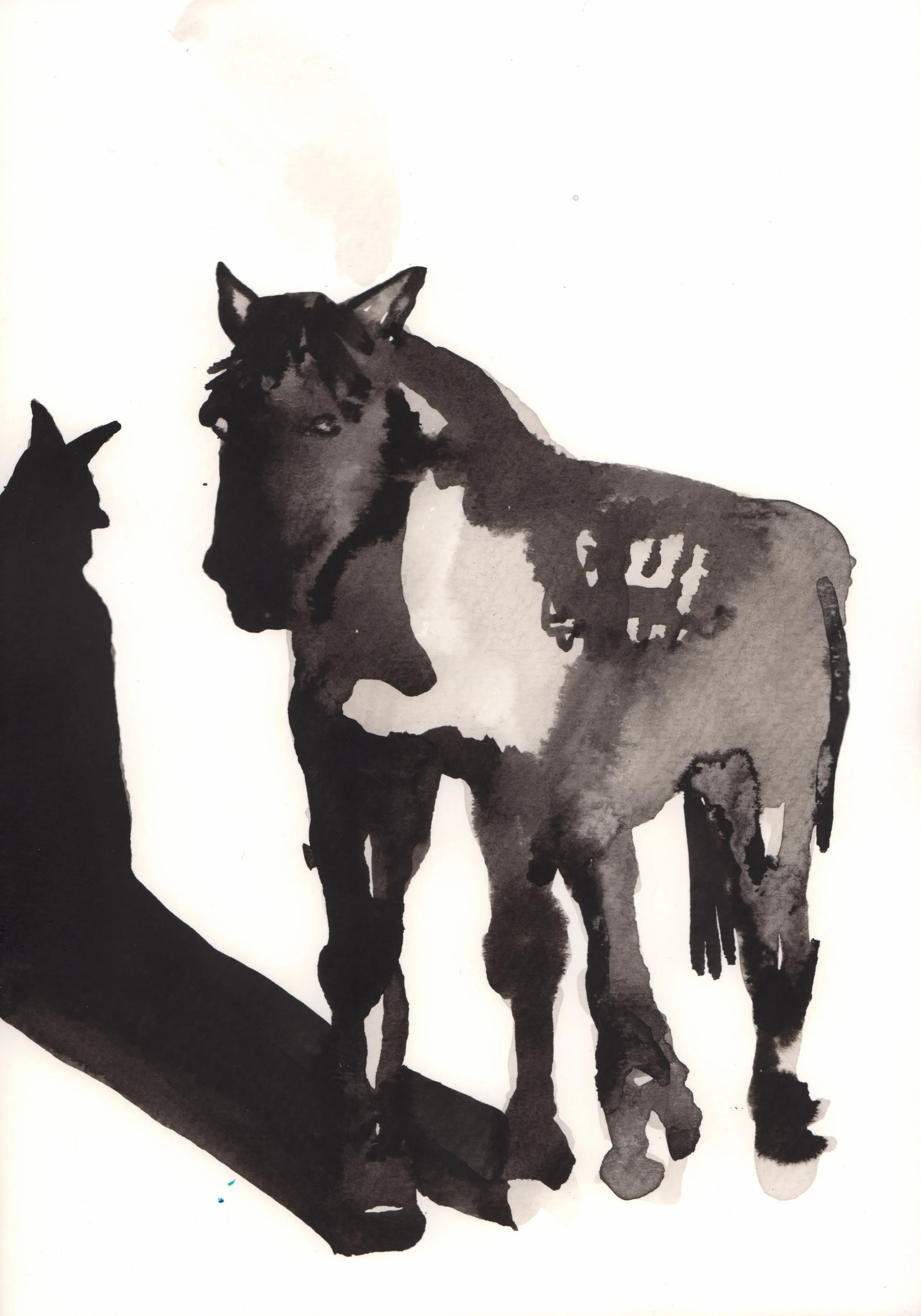 año del caballo 3
