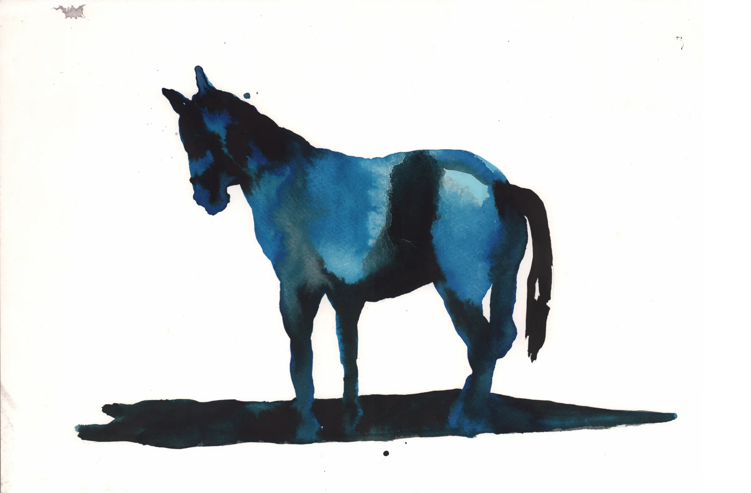 misterio del caballo