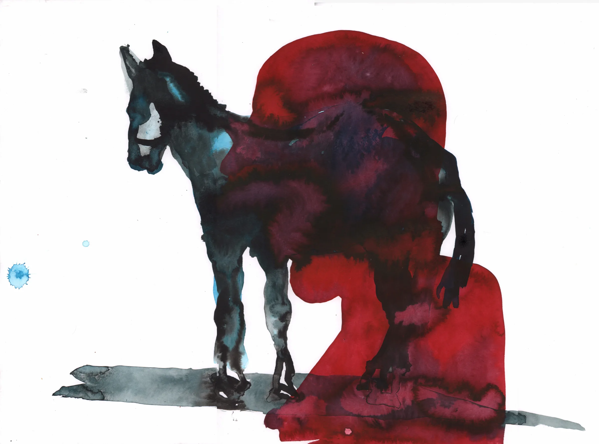 misterio del caballo 4