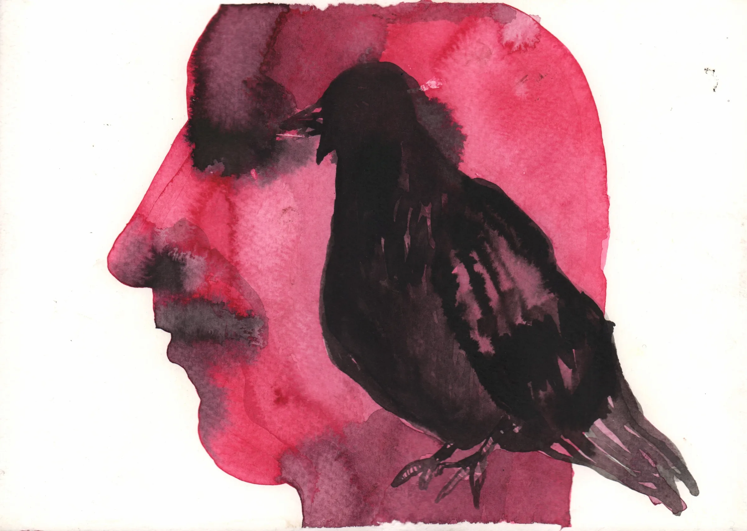 El pájaro II