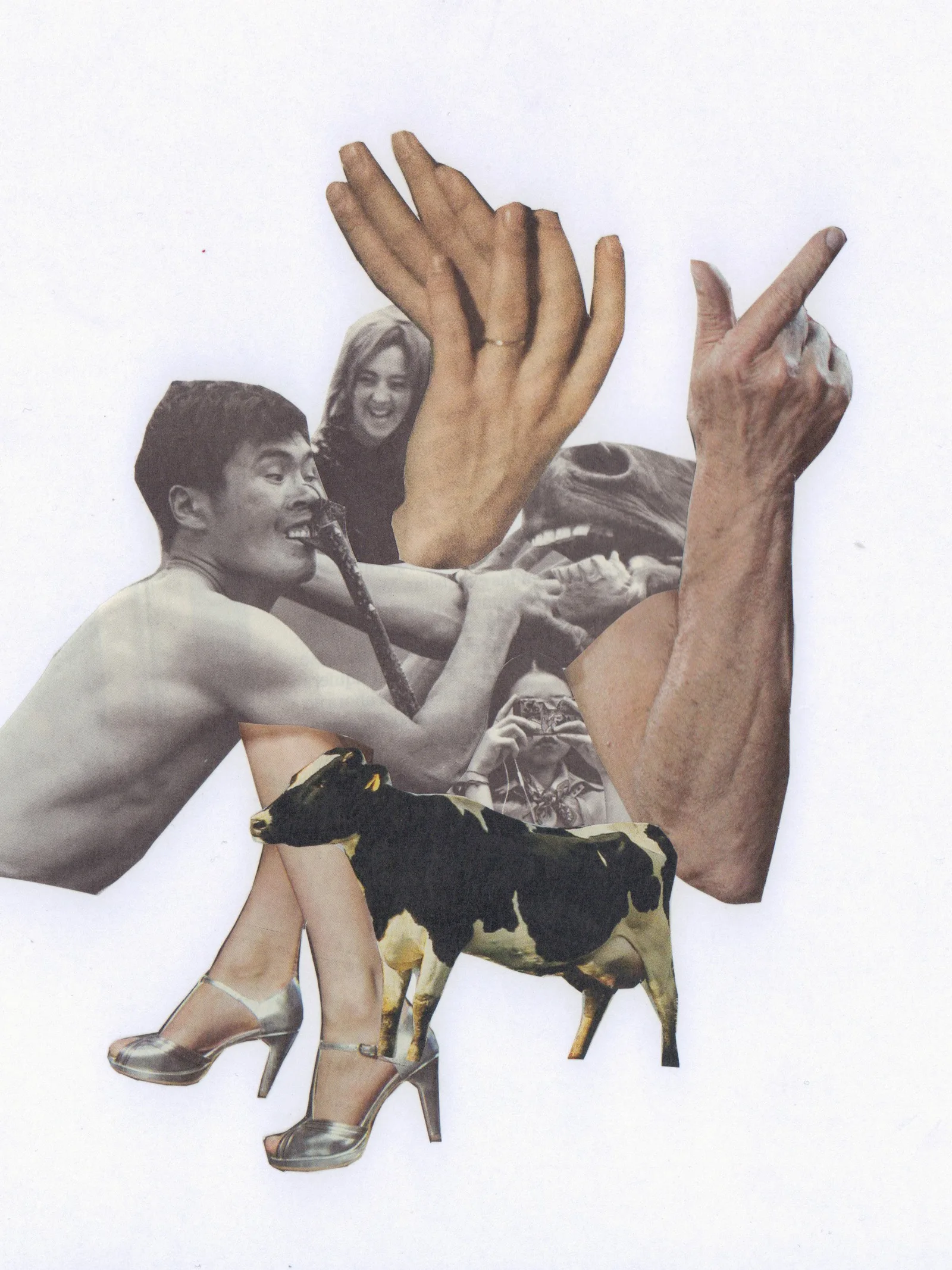 Collage manual, 2022